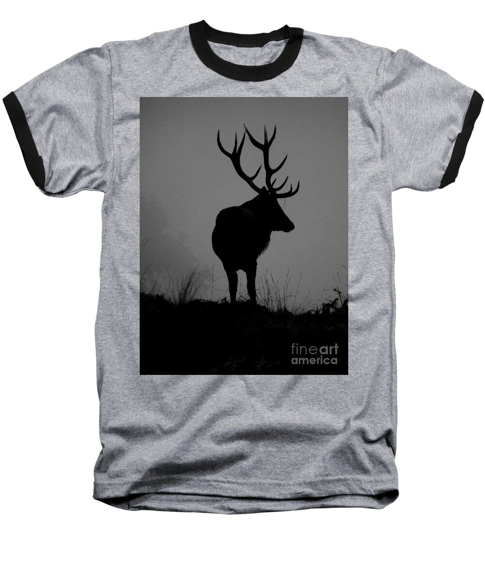 Deer Baseball T-Shirt featuring the photograph Wildlife Monarch Of The Park by Linsey Williams