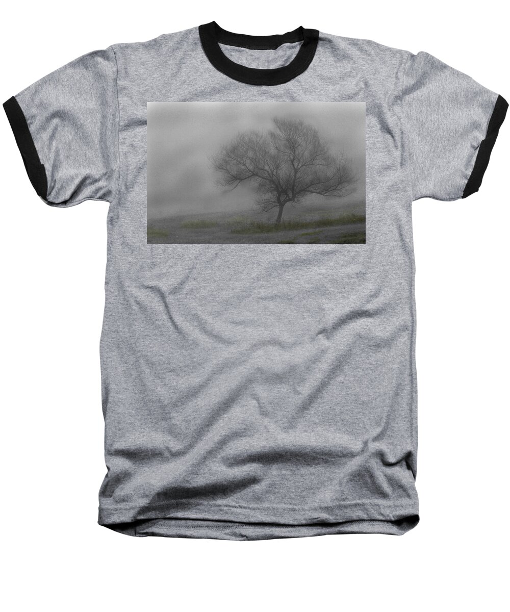 Tree Baseball T-Shirt featuring the photograph Wind Swept Tree by David Yocum