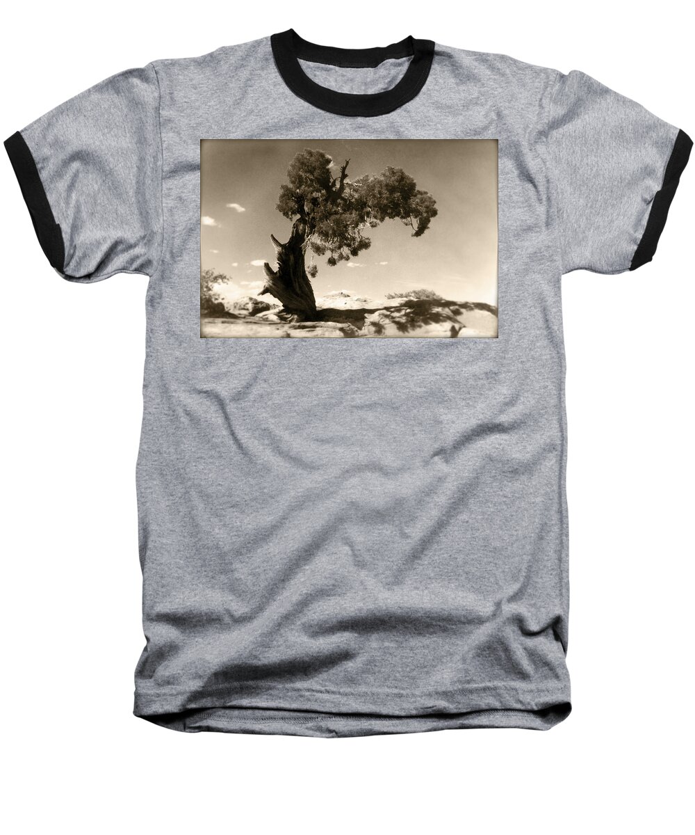 Tree Baseball T-Shirt featuring the photograph Wind Swept Tree by Scott Norris