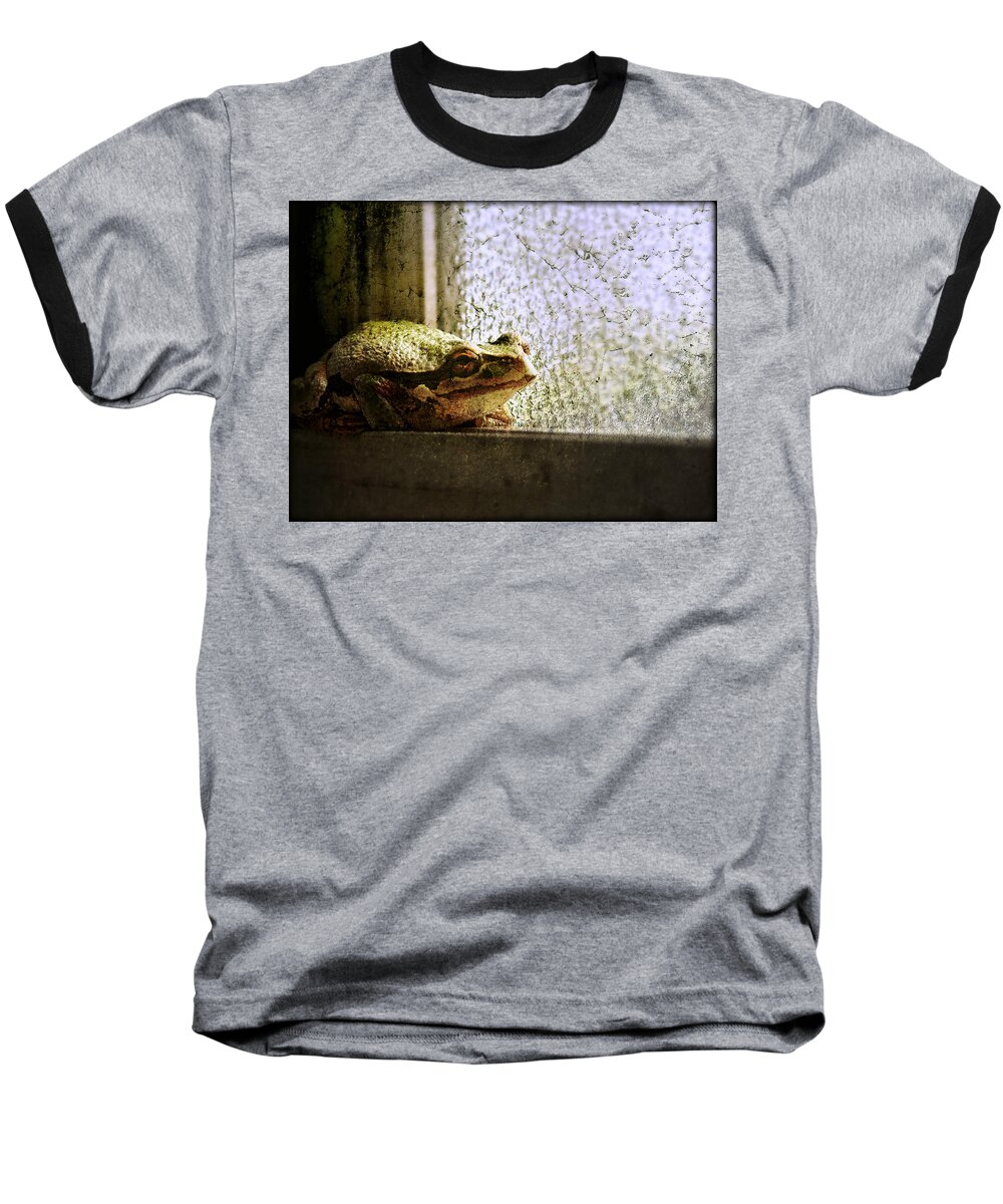 Frog Baseball T-Shirt featuring the photograph Windowsill Visitor by Micki Findlay