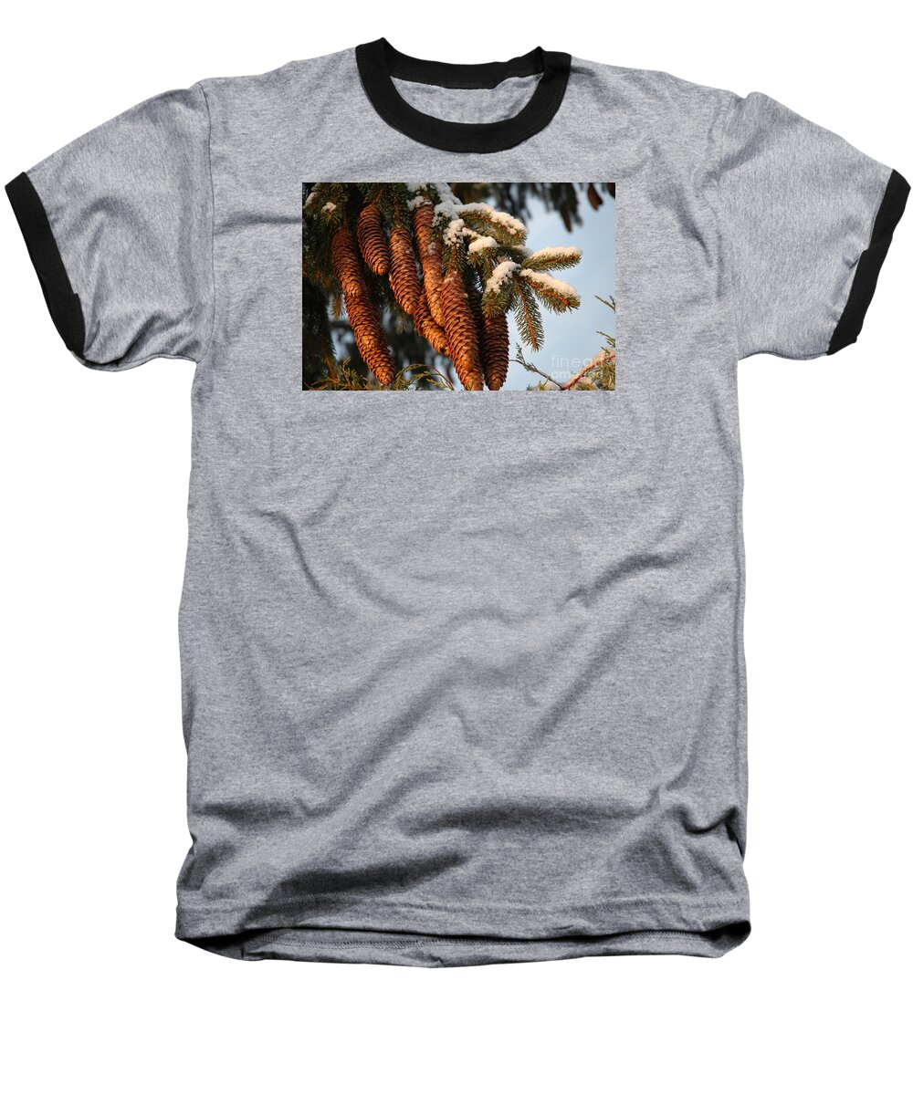 Pine Baseball T-Shirt featuring the photograph Winter Pine - Holiday by Susan Carella