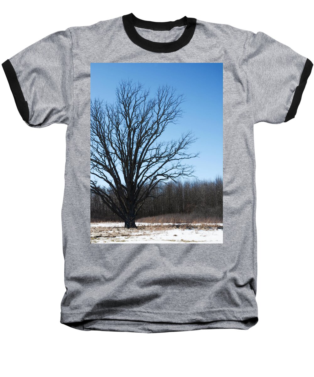 Winter Tree Baseball T-Shirt featuring the photograph Winter tree by Tracy Winter