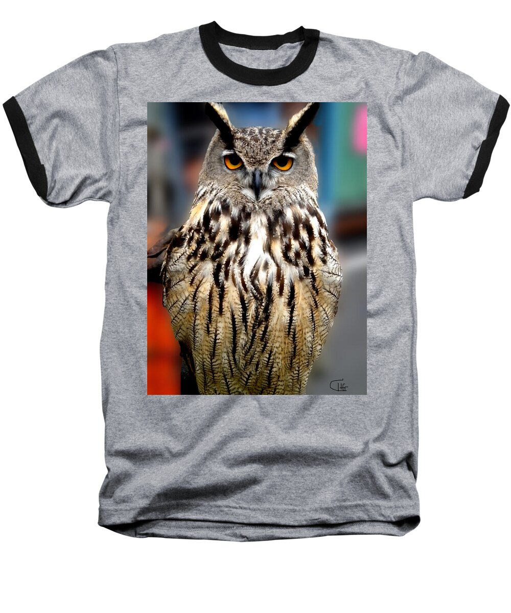 Colette Baseball T-Shirt featuring the photograph Wise forest mountain Owl Spain by Colette V Hera Guggenheim