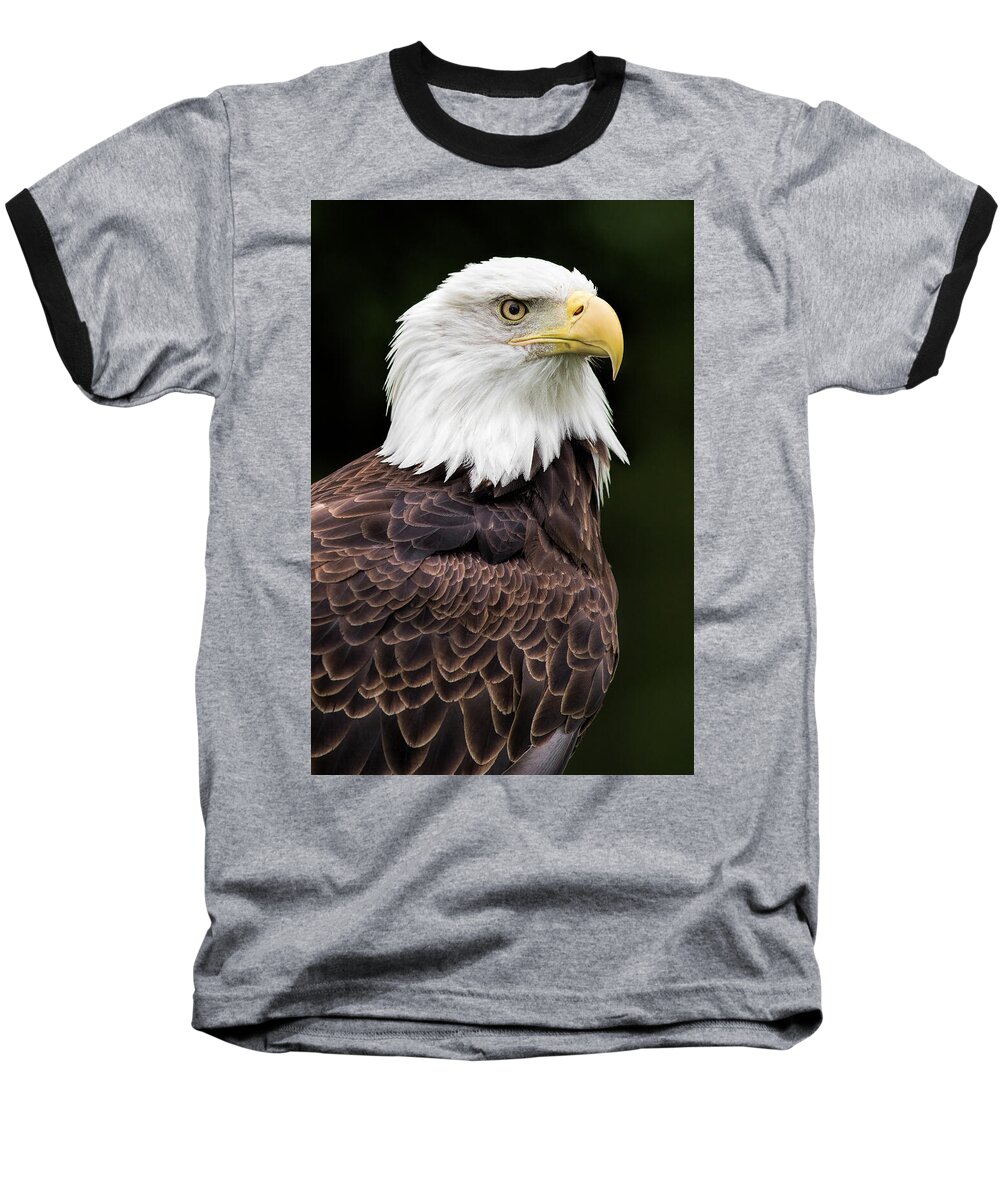 Bald Eagle Baseball T-Shirt featuring the photograph With Dignity by Dale Kincaid