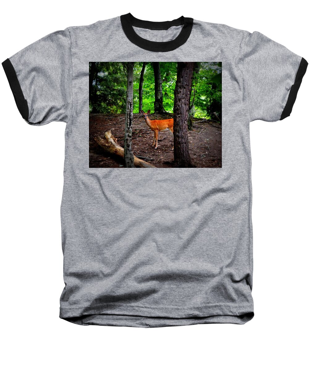 Trees Baseball T-Shirt featuring the photograph Woodland Deer by Michelle Calkins