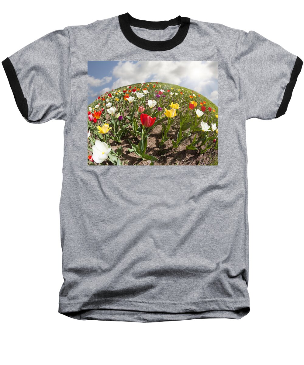 Flowers Baseball T-Shirt featuring the photograph World of Tulips by Alexey Stiop