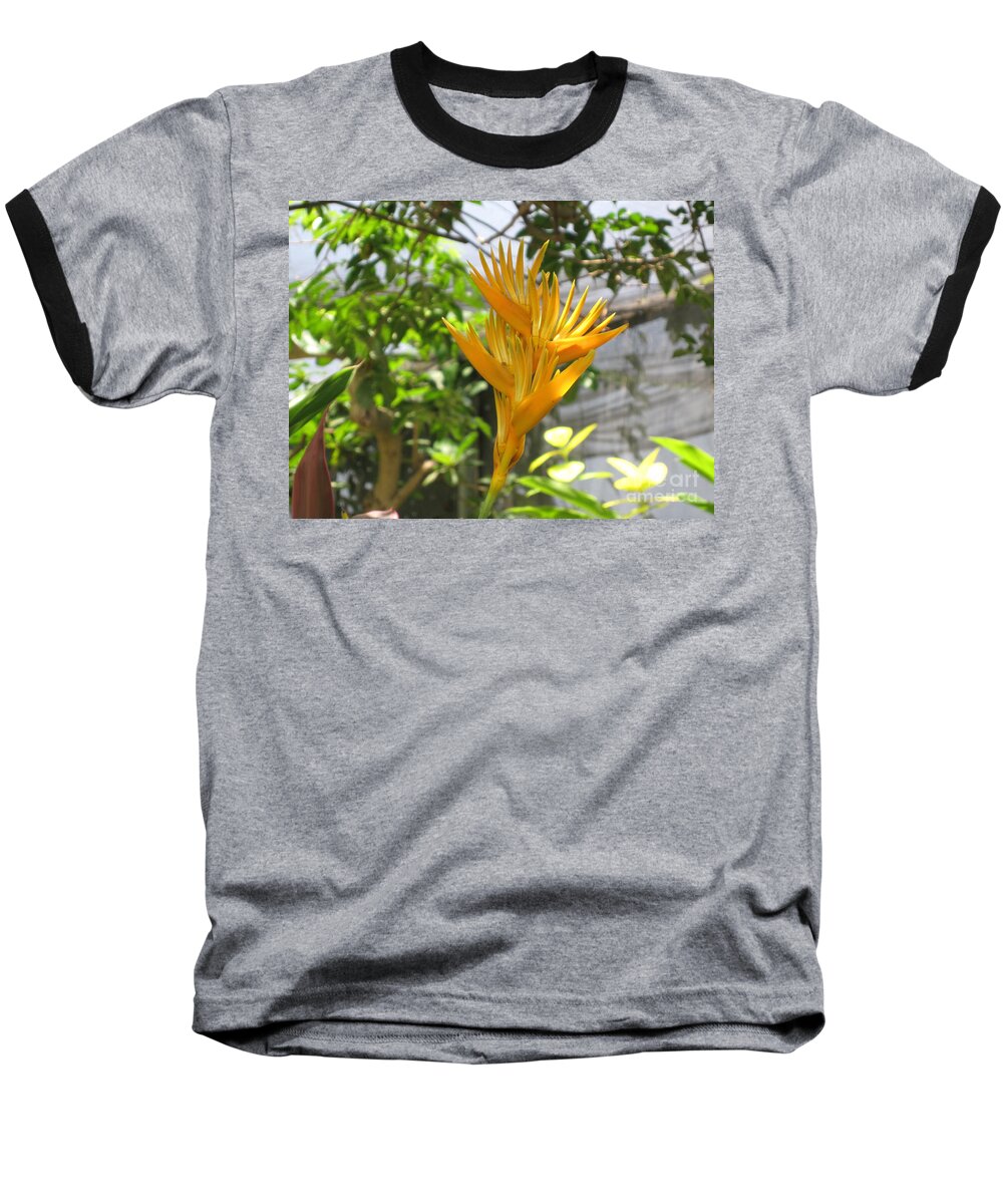 Yellow Bird Of Paradise Baseball T-Shirt featuring the photograph Yellow Bird of Paradise by HEVi FineArt