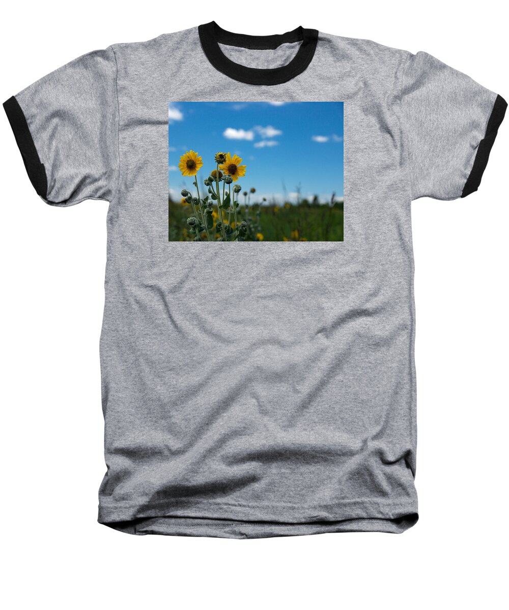 Yellow Baseball T-Shirt featuring the photograph Yellow Flower on Blue Sky by Photographic Arts And Design Studio