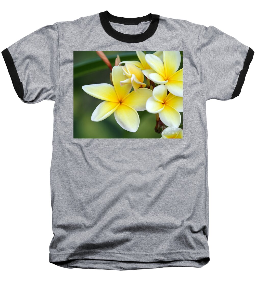 Macro Baseball T-Shirt featuring the photograph Yellow Frangipani Flowers by Sabrina L Ryan