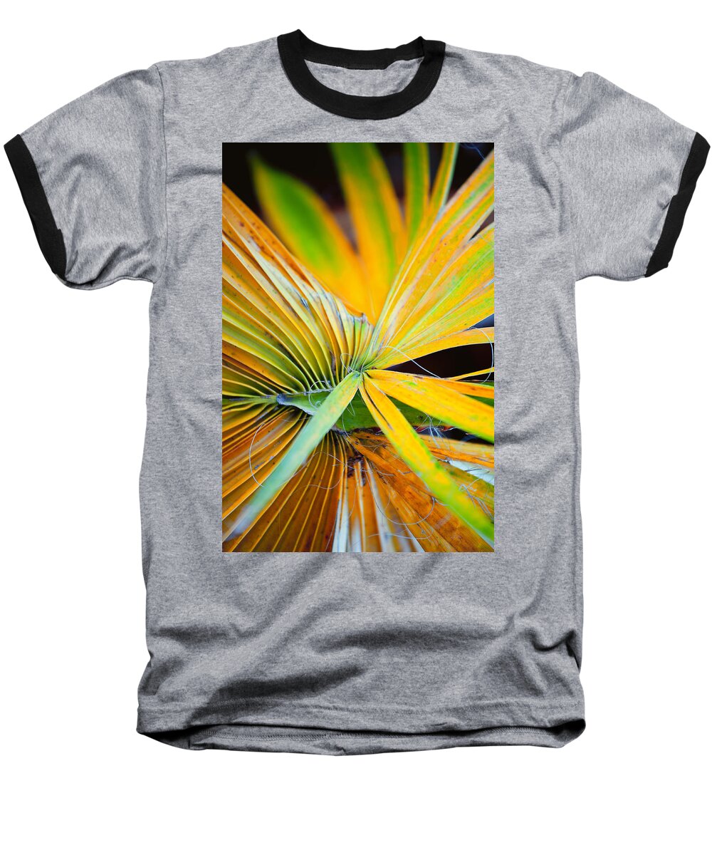 Leaf Baseball T-Shirt featuring the photograph Yellow Palm 2 by Stephen Anderson
