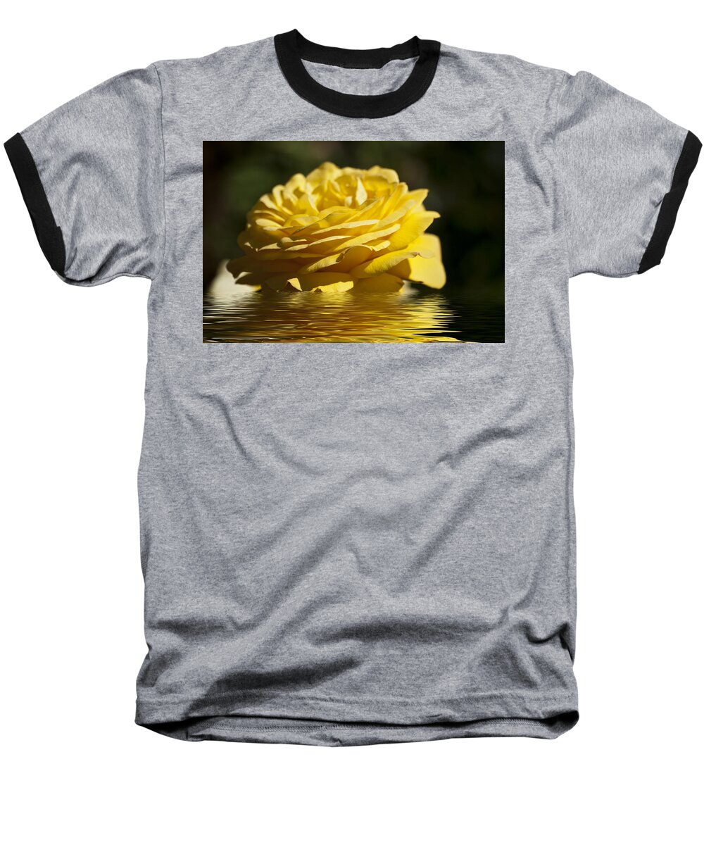Yellow Rose Baseball T-Shirt featuring the photograph Yellow Rose Flood by Steve Purnell
