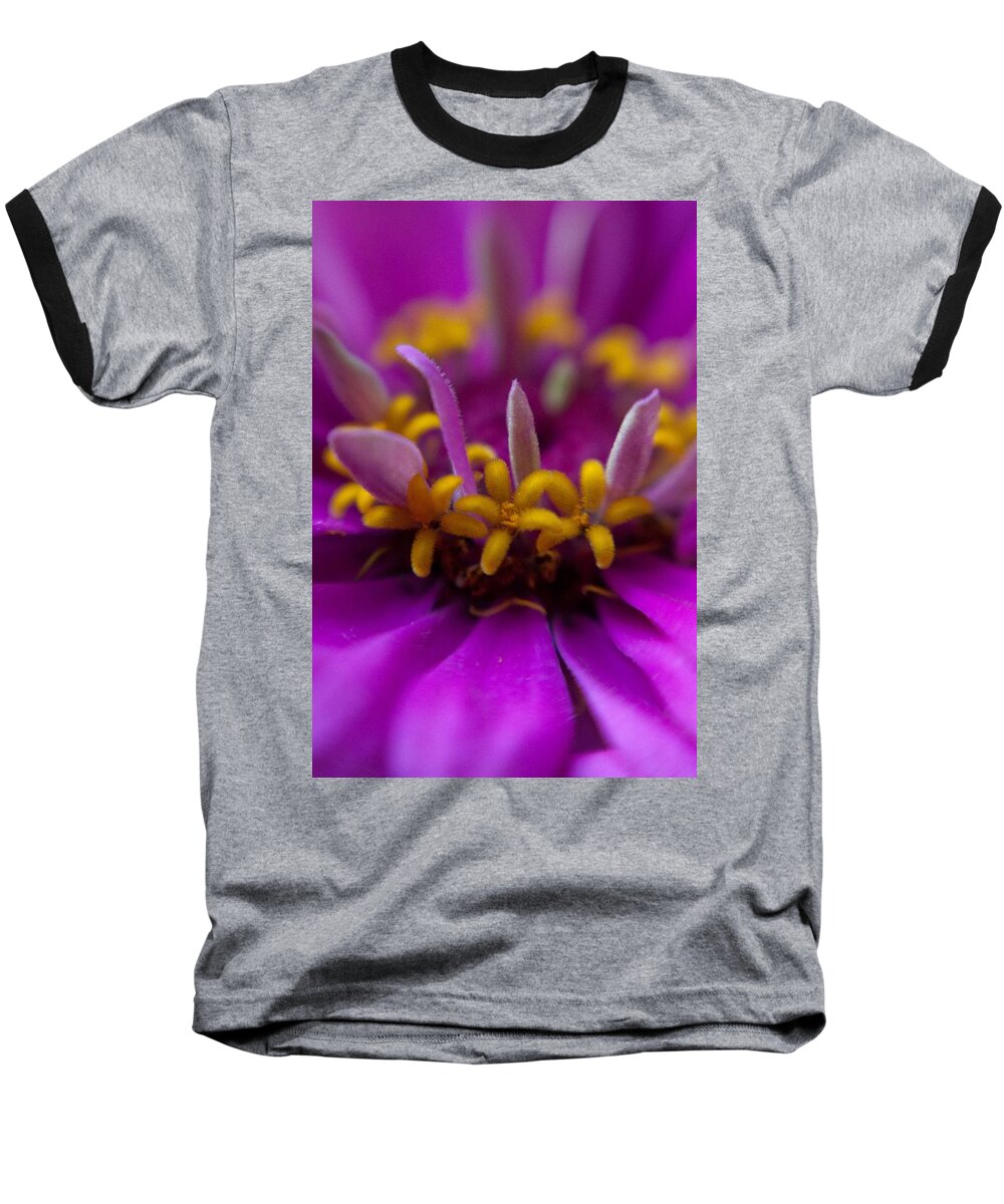 Flower Baseball T-Shirt featuring the photograph Yellow Stars by Natalie Rotman Cote