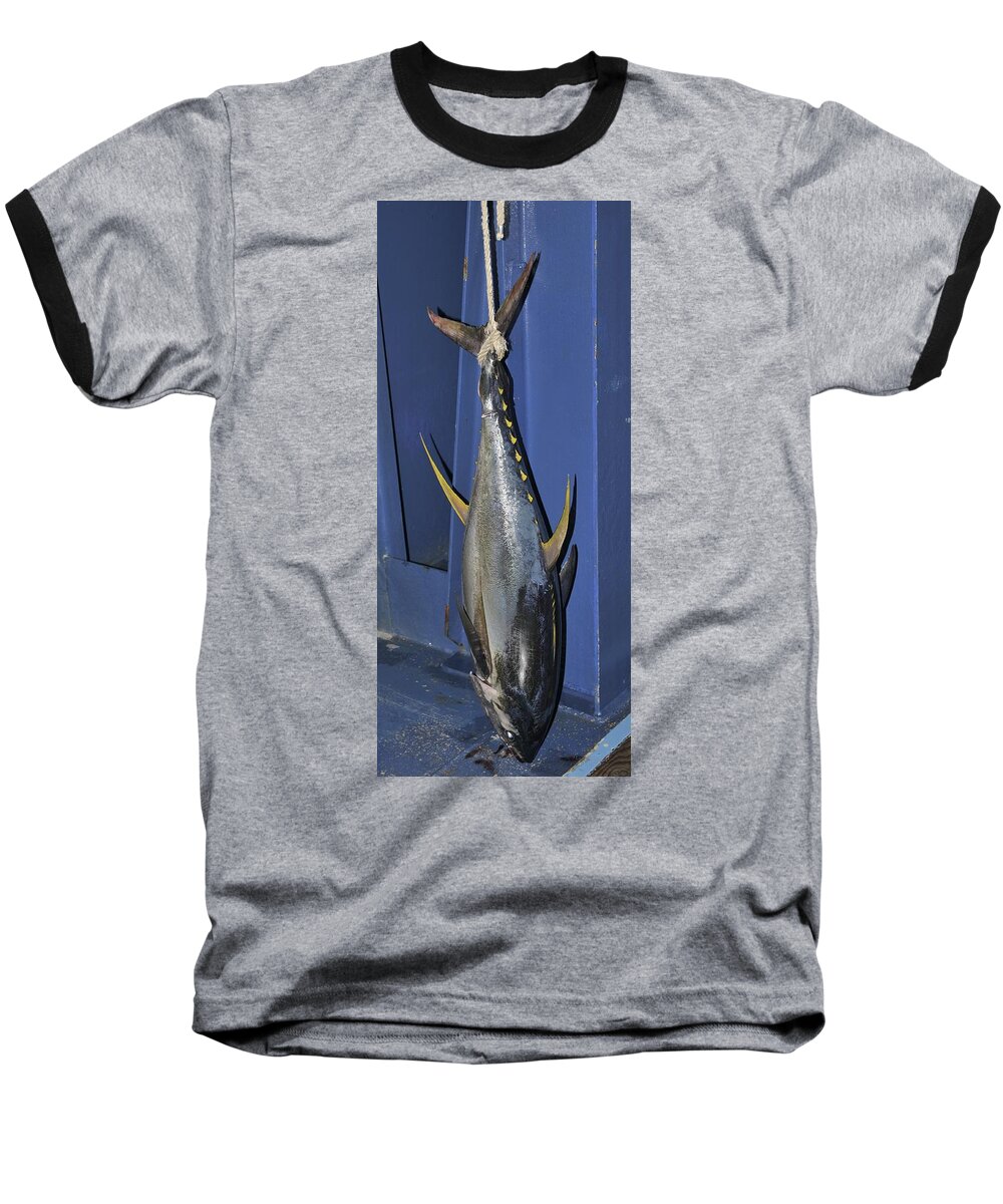 Yellowfin Baseball T-Shirt featuring the photograph Yellowfin tuna hanging from a rope by Bradford Martin