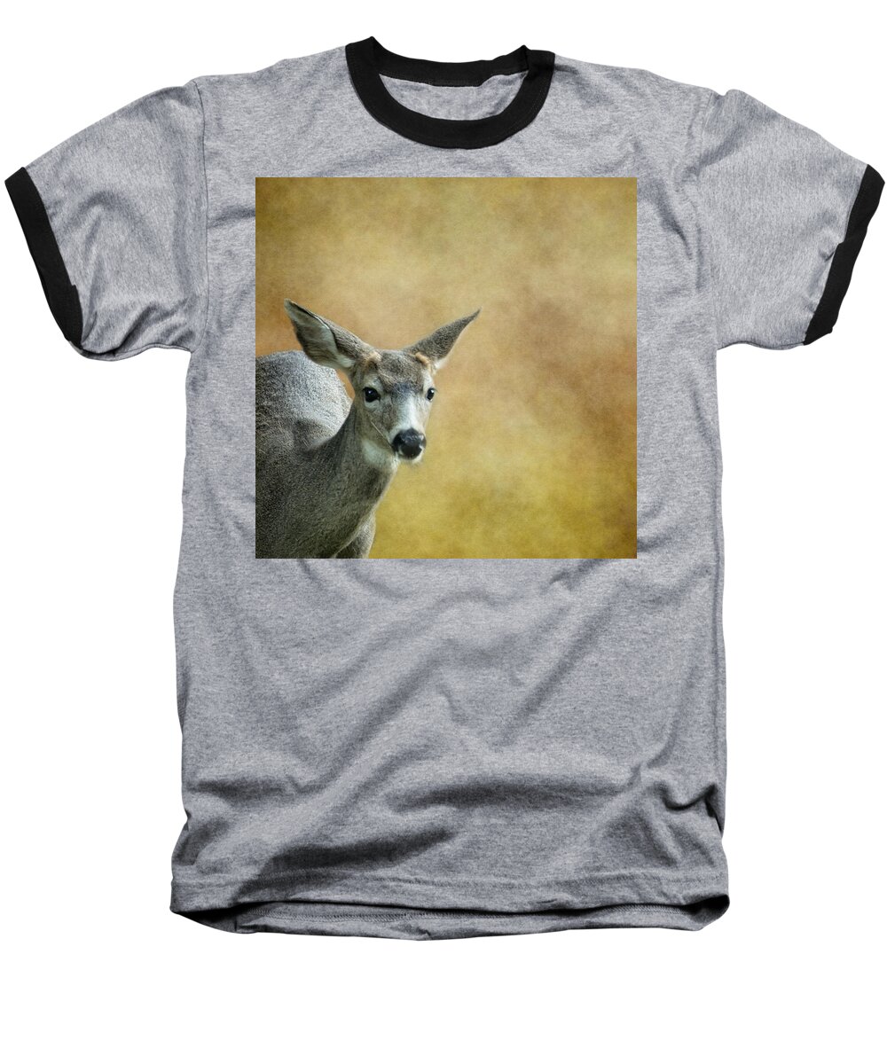 Deer Baseball T-Shirt featuring the photograph Young Buck by Belinda Greb