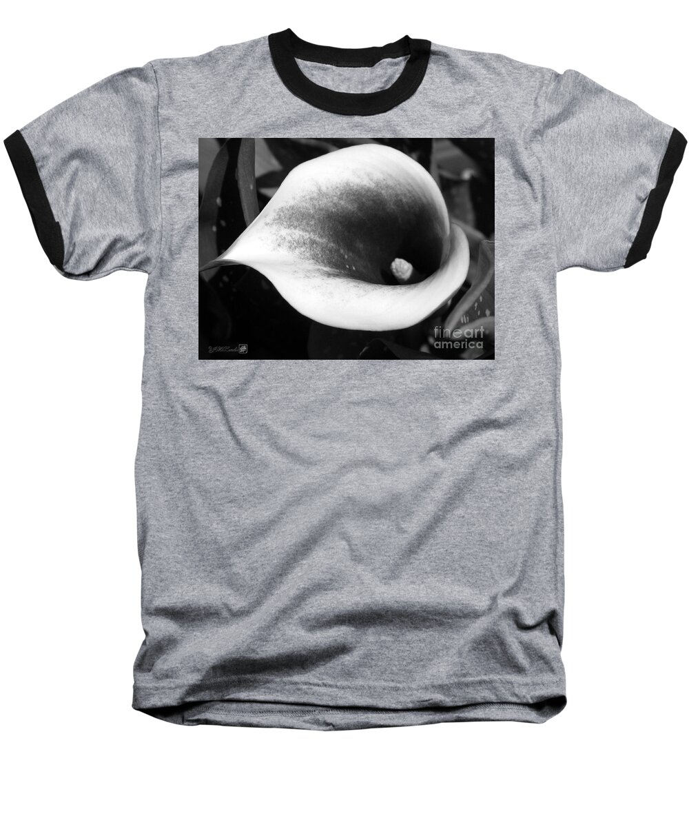 Zantedeschia Baseball T-Shirt featuring the photograph Zantedeschia named Picasso by J McCombie