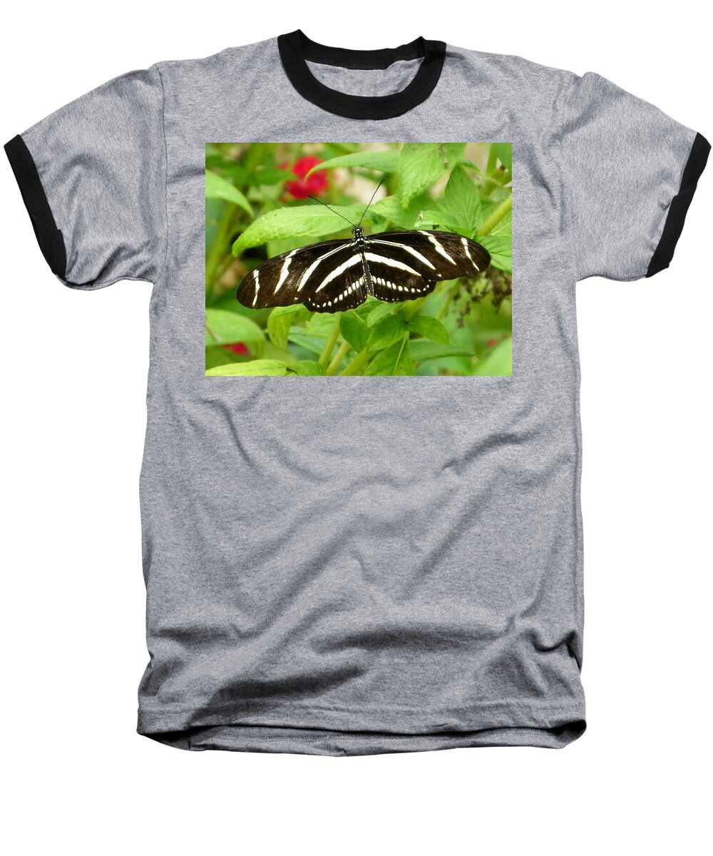 Nature Baseball T-Shirt featuring the photograph Zebra Longwing by Judy Wanamaker