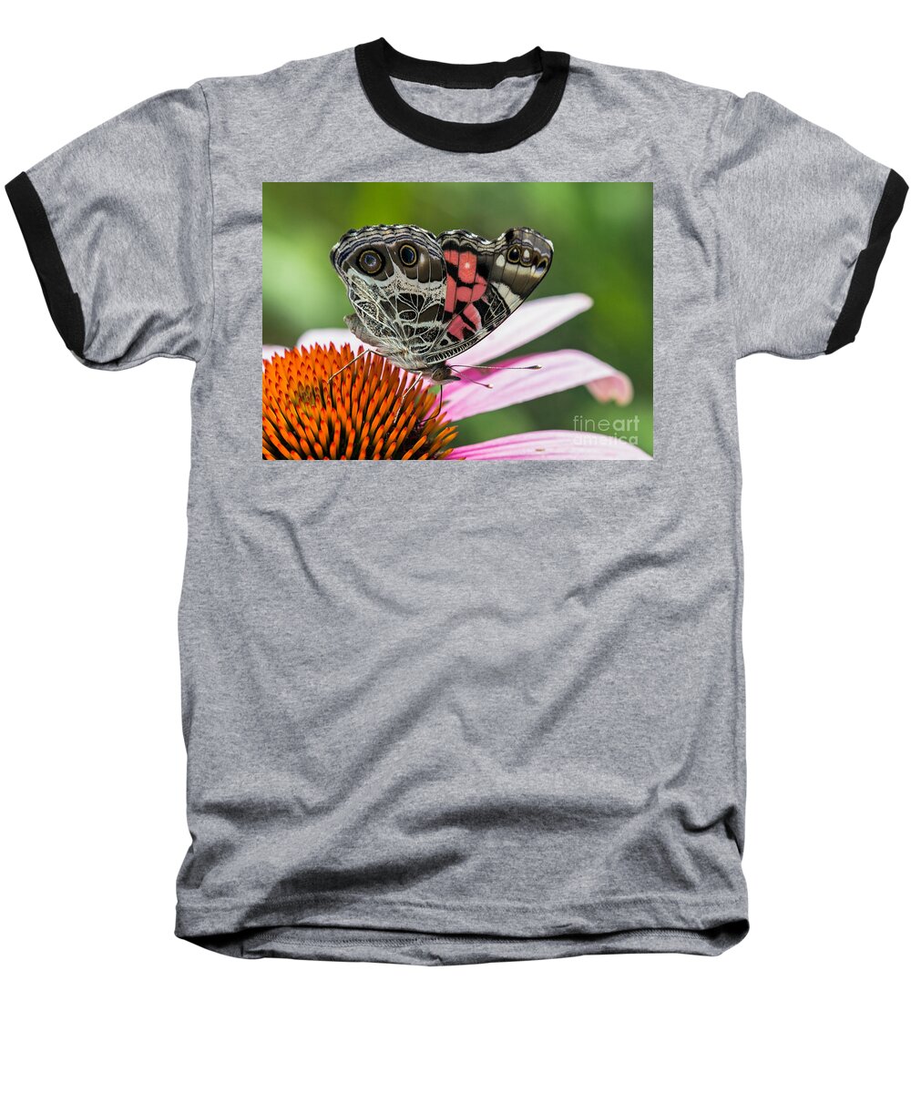 Zebra-swallowtail Baseball T-Shirt featuring the photograph Butterfly feeding #1 by Bernd Laeschke