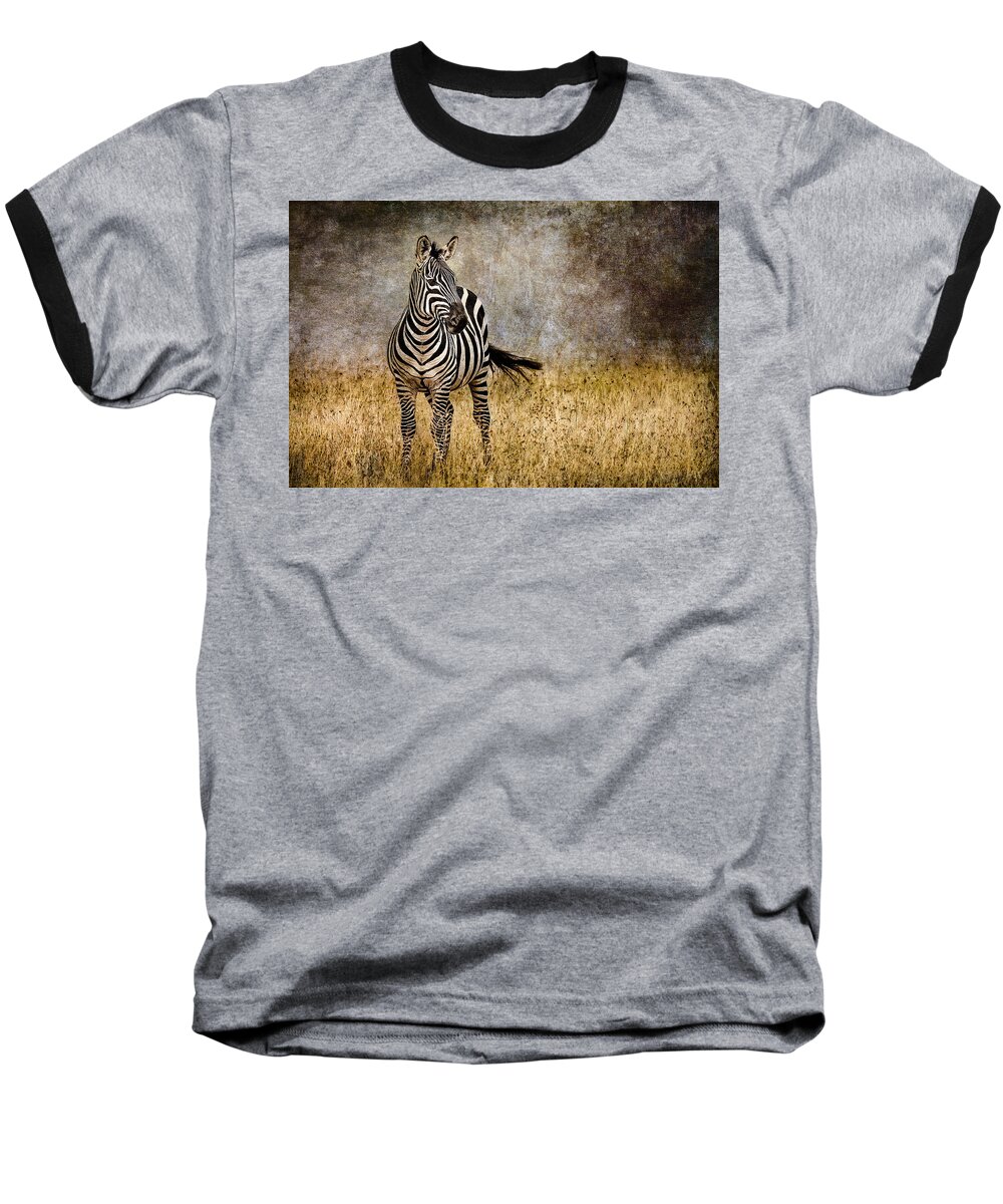 Africa Baseball T-Shirt featuring the photograph Zebra Tail Flick by Mike Gaudaur