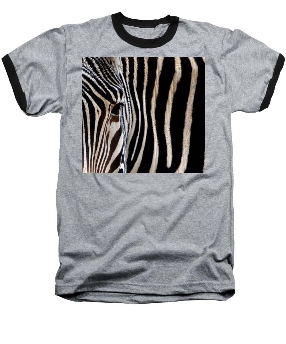 Zebra Baseball T-Shirt featuring the photograph Zebras Face to Face by Nadalyn Larsen
