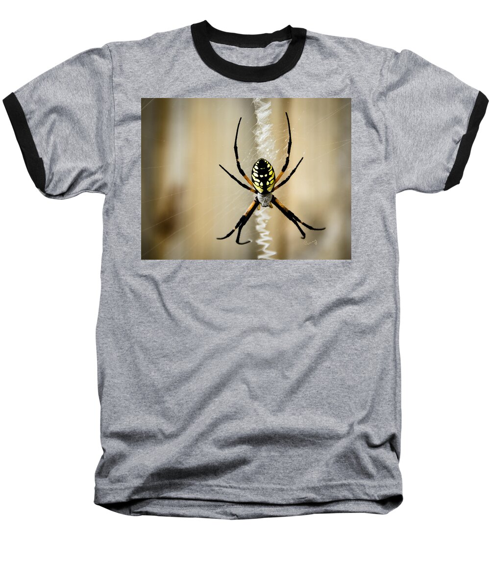 Argiope Aurantia Baseball T-Shirt featuring the photograph Zig Zag is More Fun by Penny Lisowski