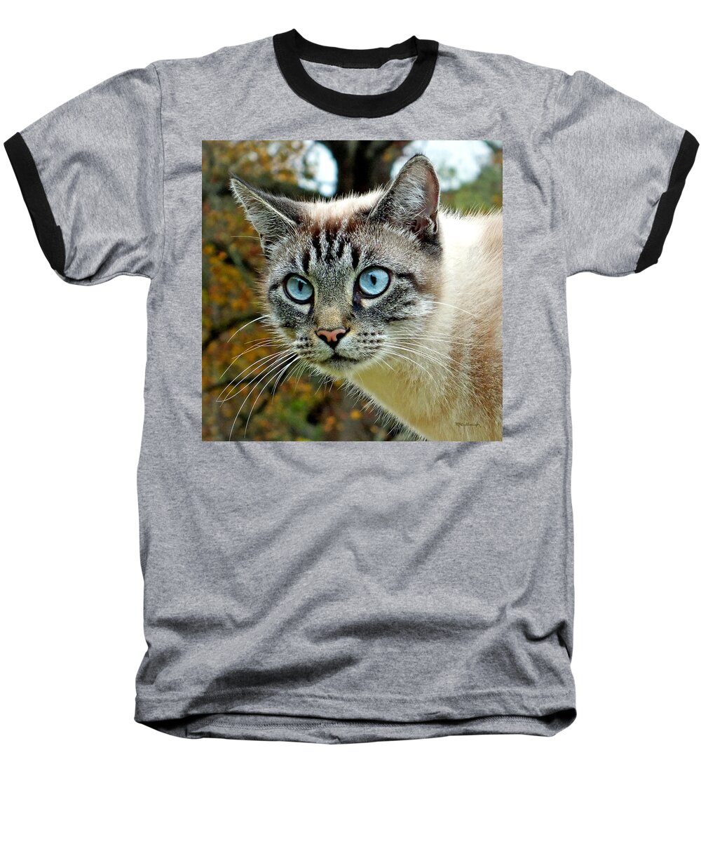 Duane Mccullough Baseball T-Shirt featuring the photograph Zing the Cat Upclose by Duane McCullough
