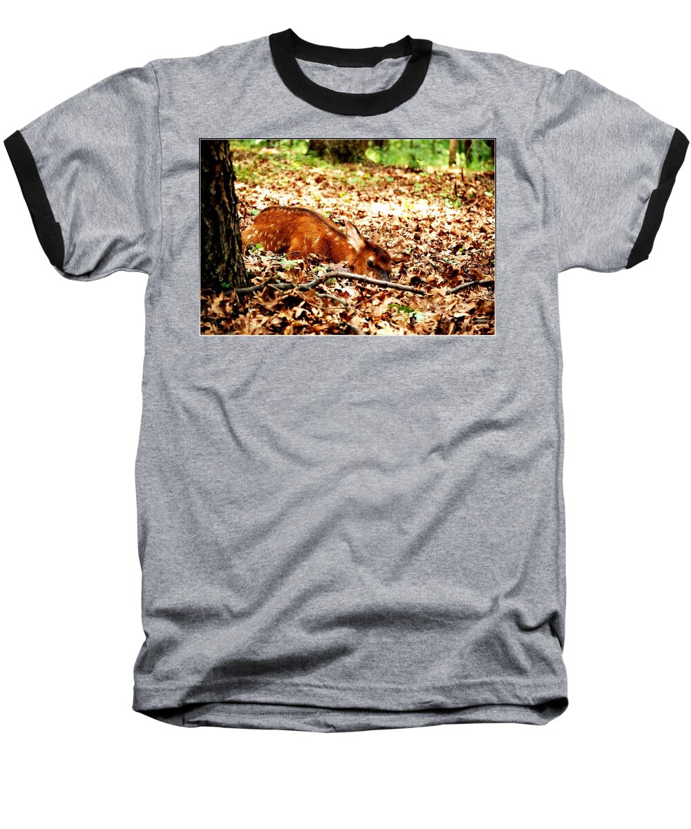 Landscape Baseball T-Shirt featuring the photograph Sweet Baby Elk by Peggy Franz