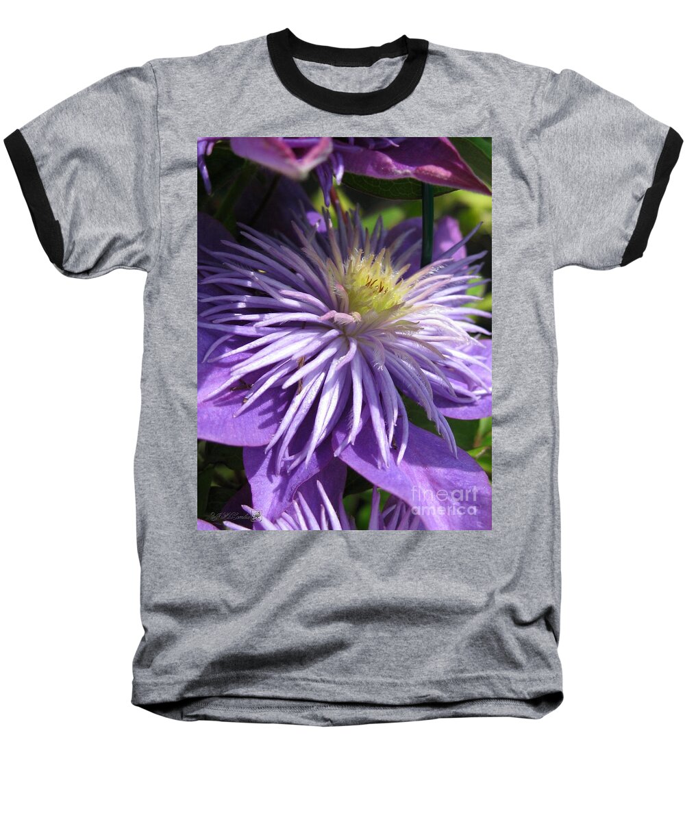 Double Clematis Baseball T-Shirt featuring the photograph Double Clematis named Crystal Fountain #1 by J McCombie