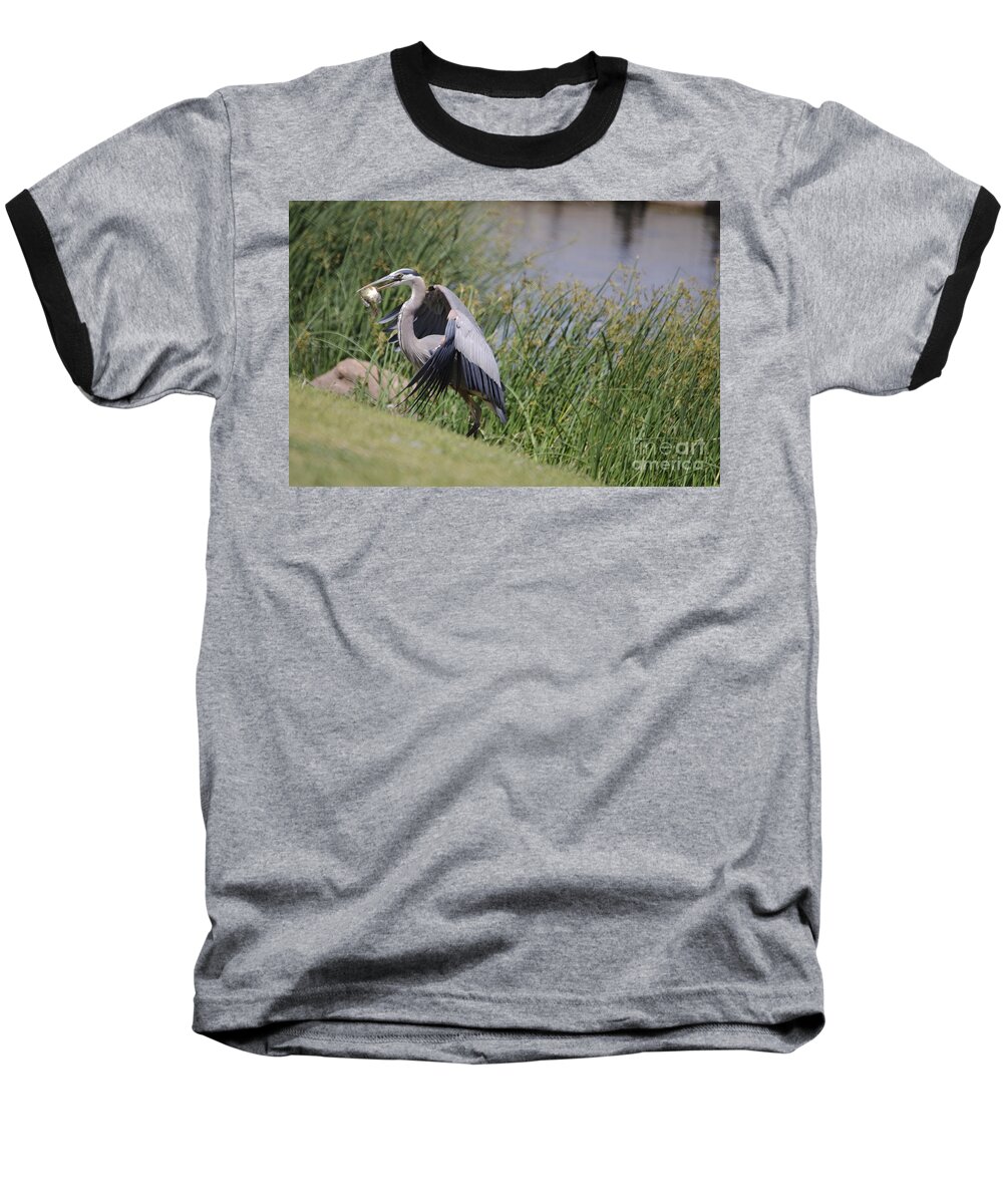 Bird Baseball T-Shirt featuring the photograph Great Blue Heron #1 by Donna Greene
