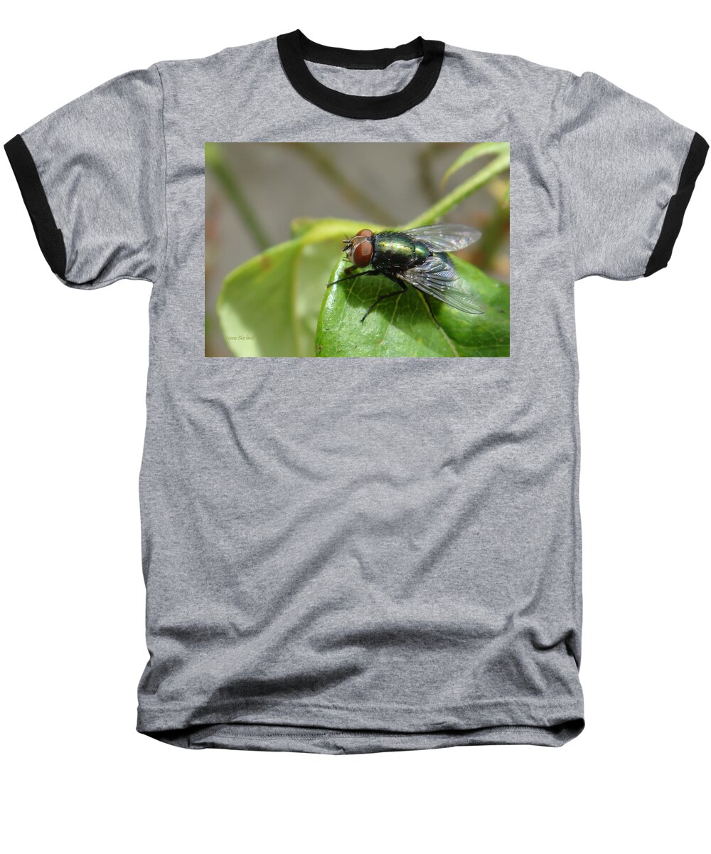 Fly Baseball T-Shirt featuring the photograph Red Eye Flight #2 by Donna Blackhall