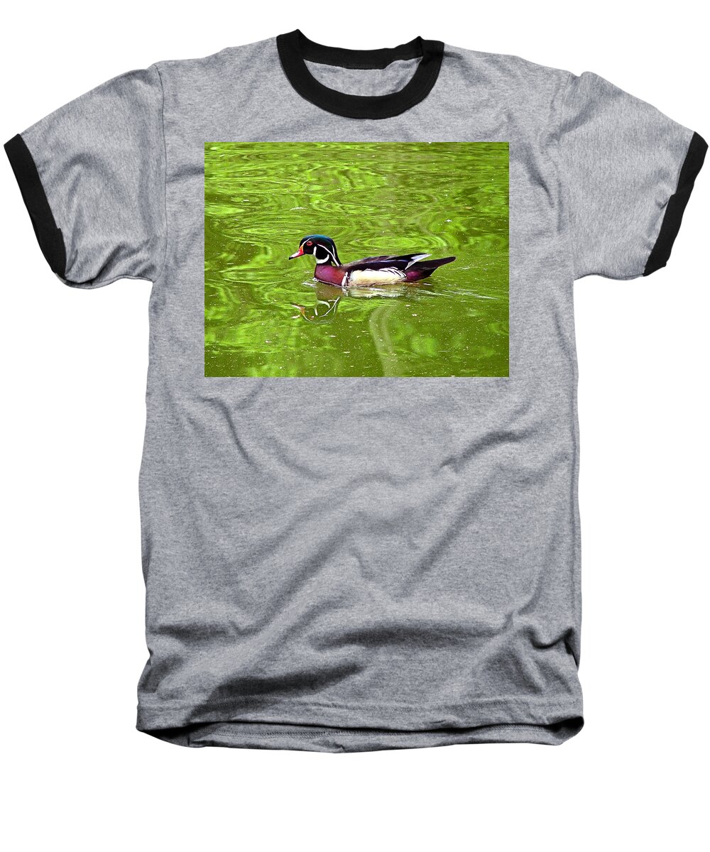 Water Wood Duck Canvas Baseball T-Shirt featuring the photograph Water Wood Duck by Wendy McKennon