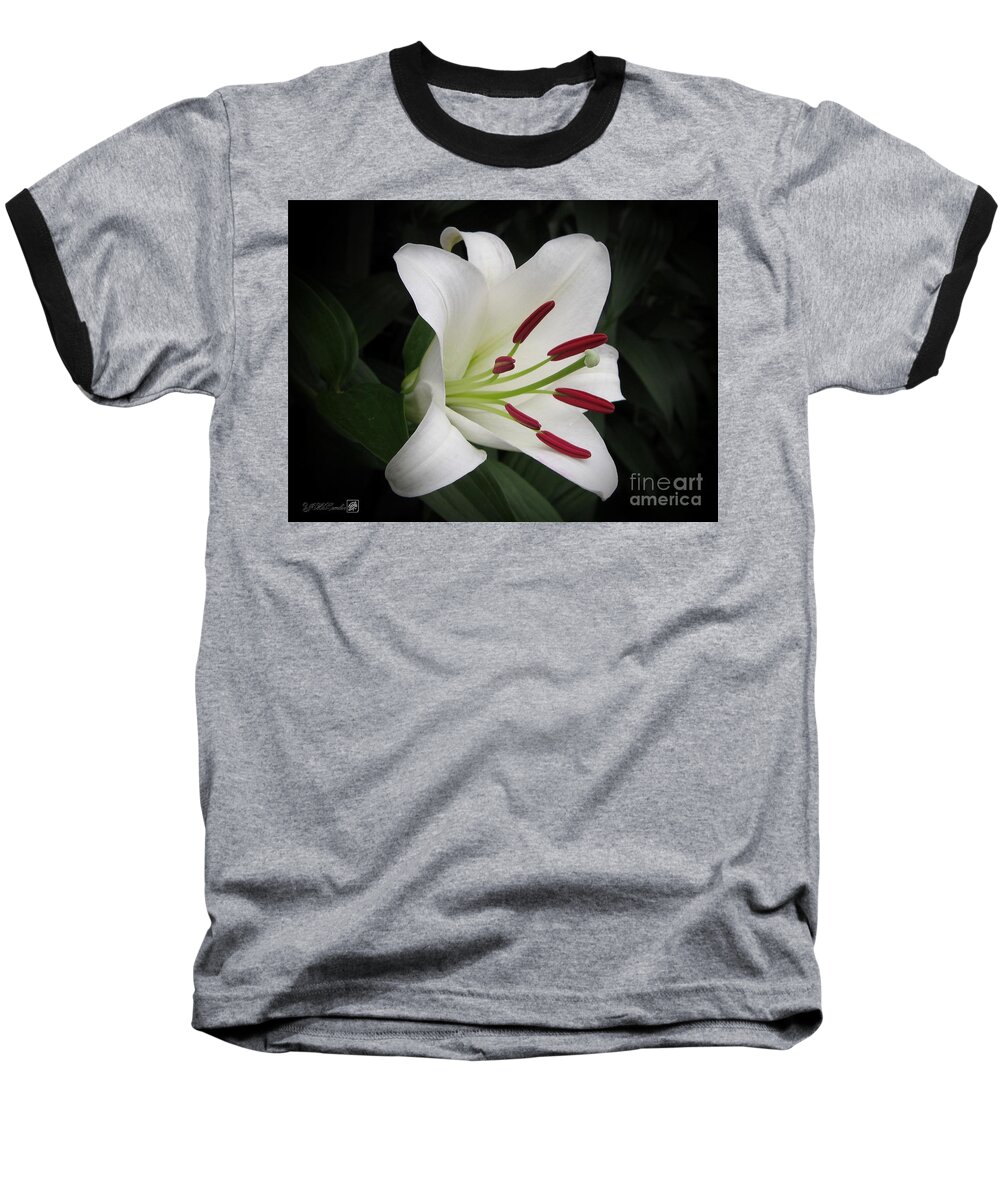 Oriental Lily Baseball T-Shirt featuring the photograph Oriental Lily named Casa Blanca #3 by J McCombie