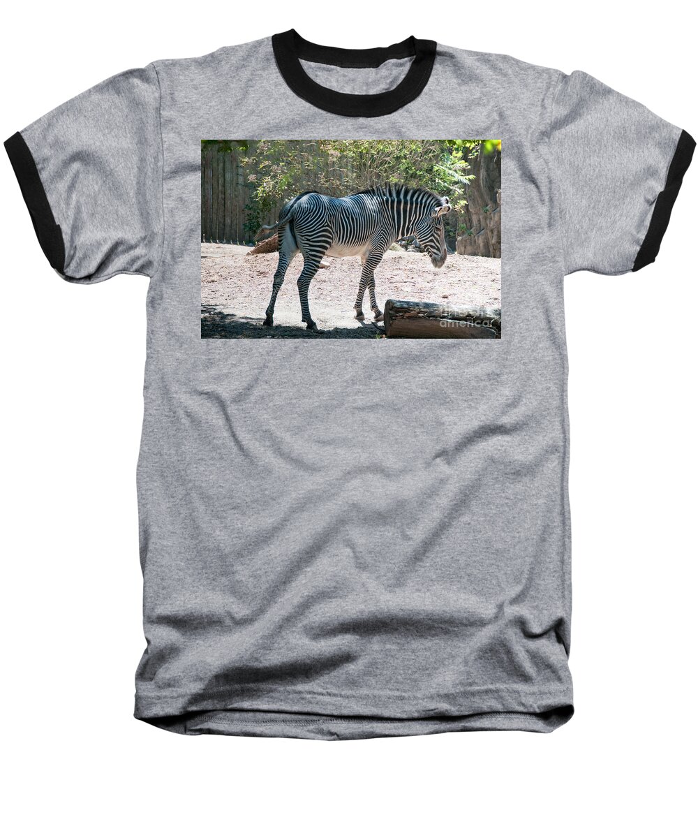 Animals Baseball T-Shirt featuring the digital art Lincoln Park Zoo in Chicago #9 by Carol Ailles
