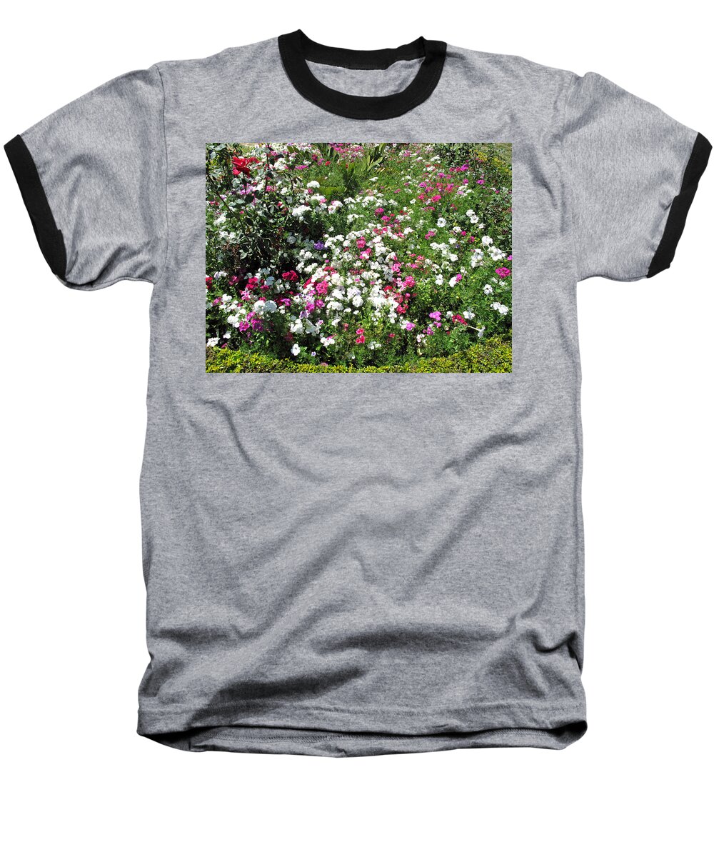 Bed Baseball T-Shirt featuring the photograph A bed of beautiful different color flowers by Ashish Agarwal