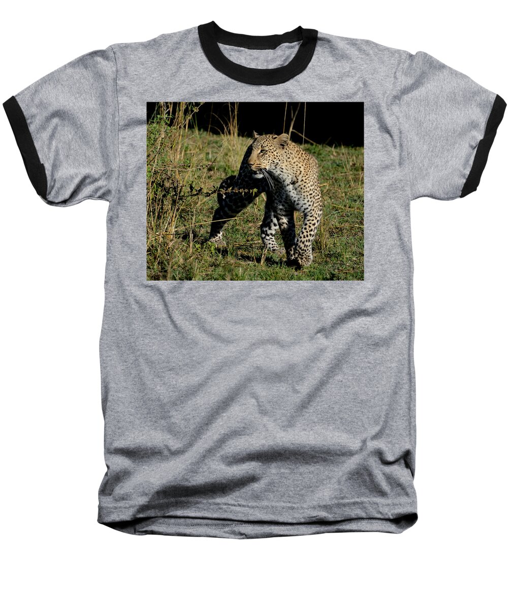 Poise Baseball T-Shirt featuring the photograph A Leopard Stalking by Tom Wurl