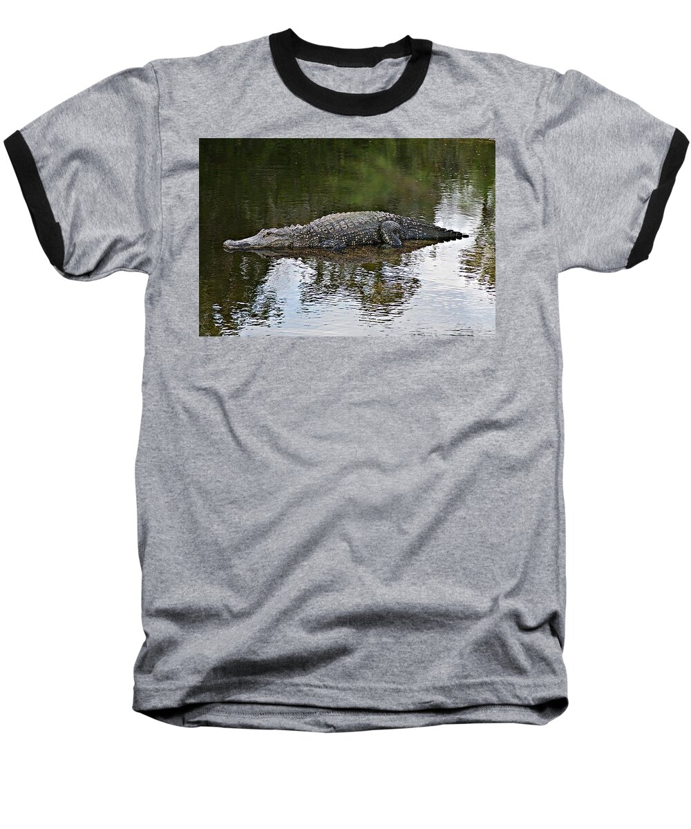 Gator Baseball T-Shirt featuring the photograph Alligator 1 by Joe Faherty