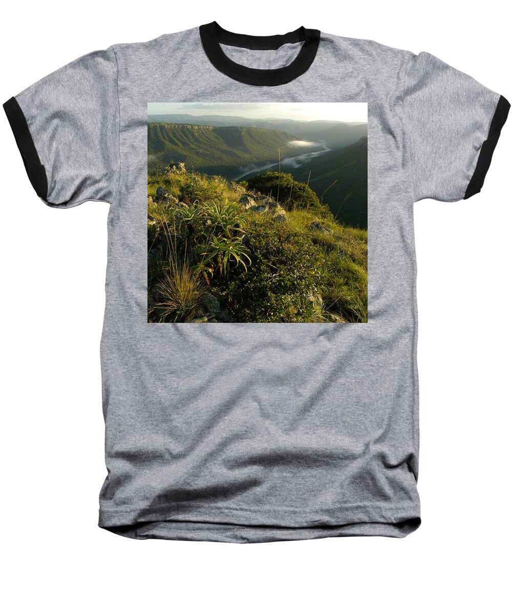 Africa Baseball T-Shirt featuring the photograph Aloe valley by Alistair Lyne