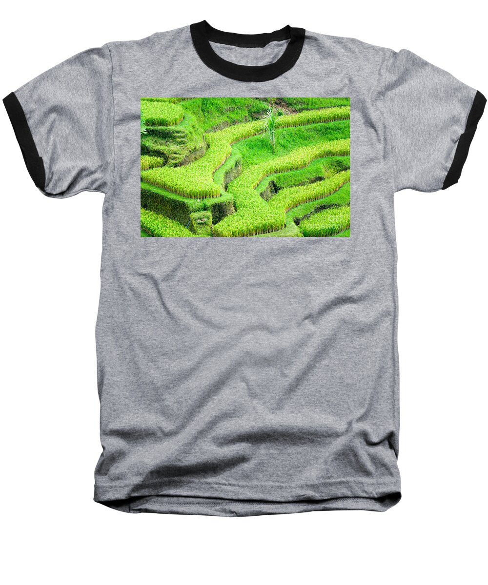 Agriculture Baseball T-Shirt featuring the photograph Amazing Rice Terrace field by Luciano Mortula