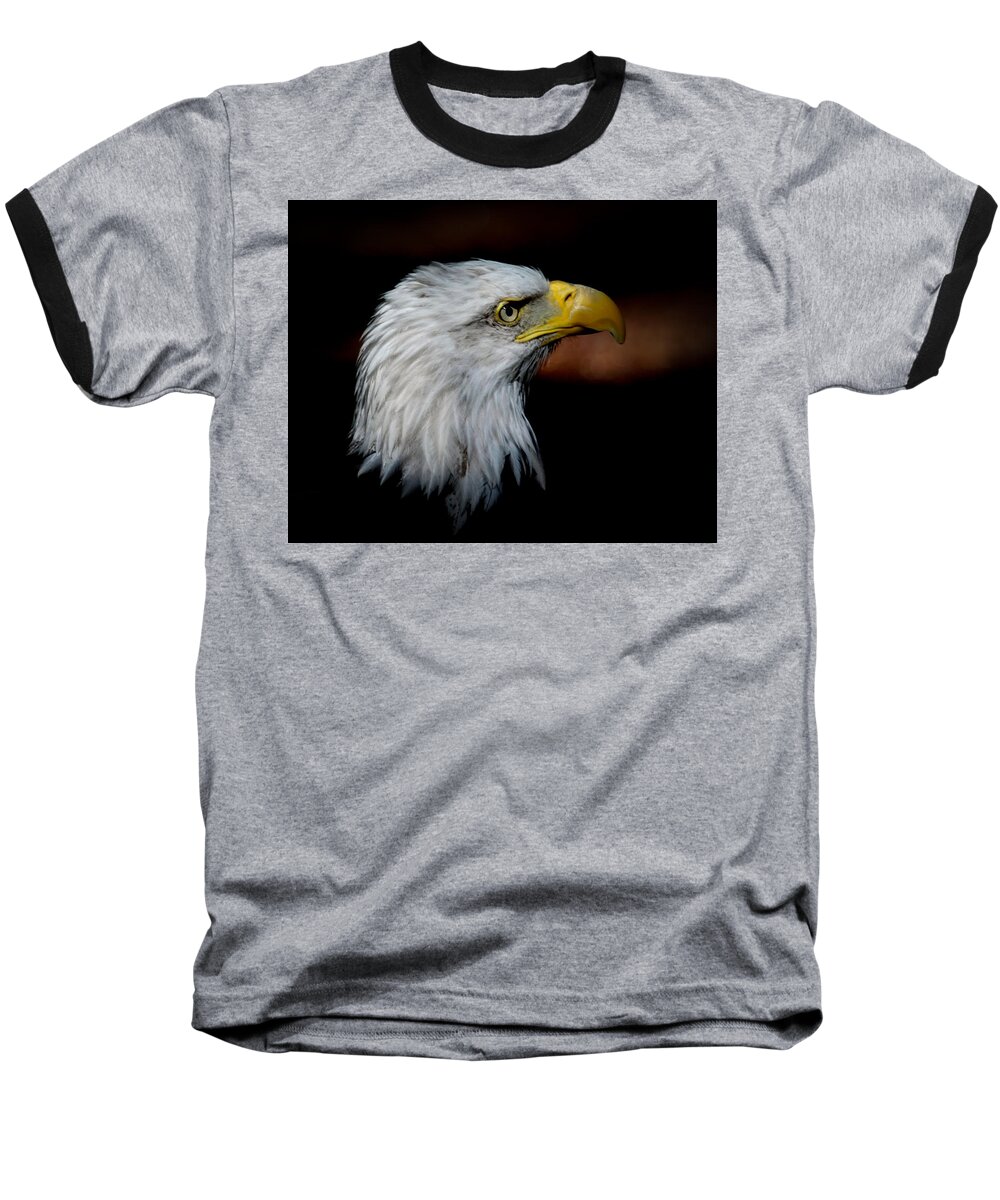 Bald Eagle Baseball T-Shirt featuring the photograph American Bald Eagle by Steve McKinzie