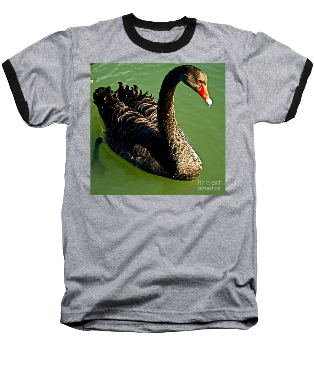 Blair Baseball T-Shirt featuring the photograph Australian Black Swan by Blair Stuart