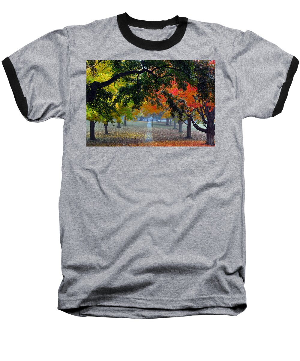 Landscapes Baseball T-Shirt featuring the photograph Autumn Canopy by Lisa Phillips