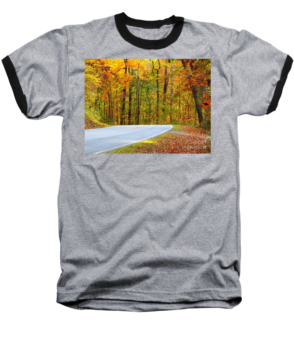 Autumn Baseball T-Shirt featuring the photograph Autumn Drive by Lydia Holly