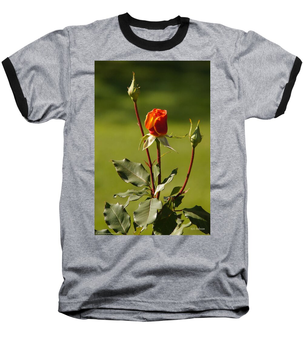 Rose Baseball T-Shirt featuring the photograph Autumn Rose by Mick Anderson