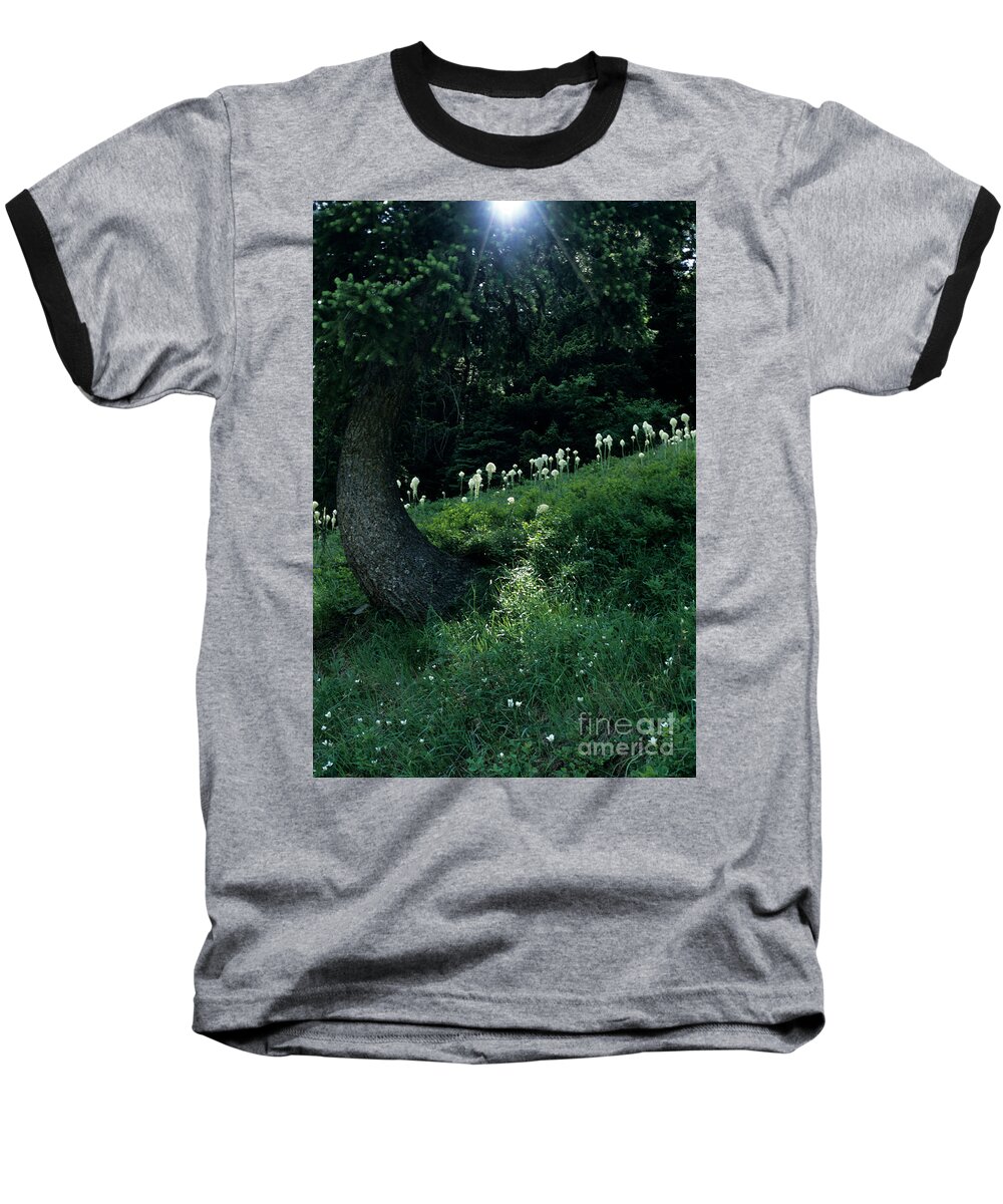 Bear-grass Baseball T-Shirt featuring the photograph Bear-grass Ridge II by Sharon Elliott
