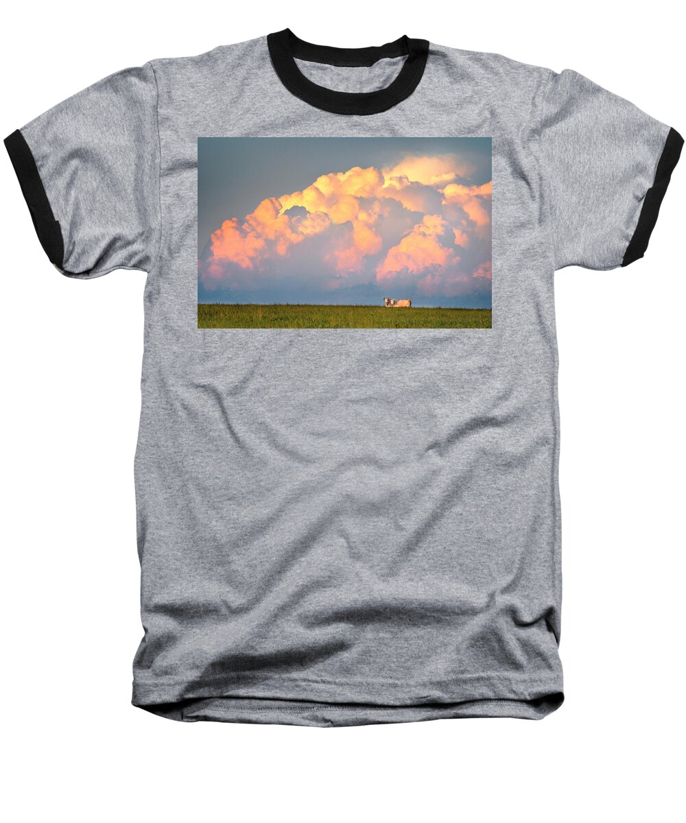 Cows Baseball T-Shirt featuring the photograph Beefy Thunder by Brian Duram