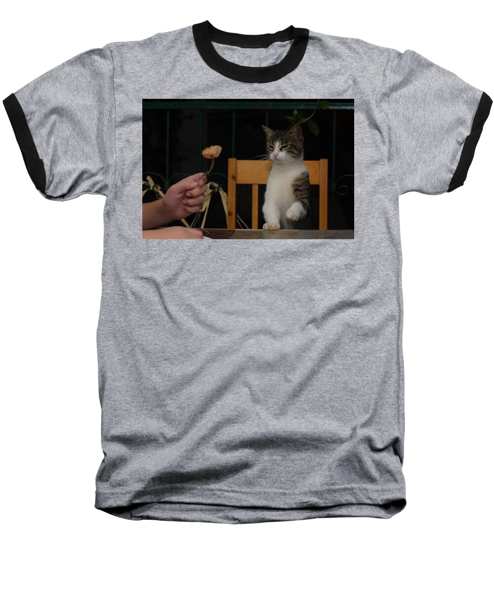 Cat Baseball T-Shirt featuring the photograph Before the attack by Michael Goyberg