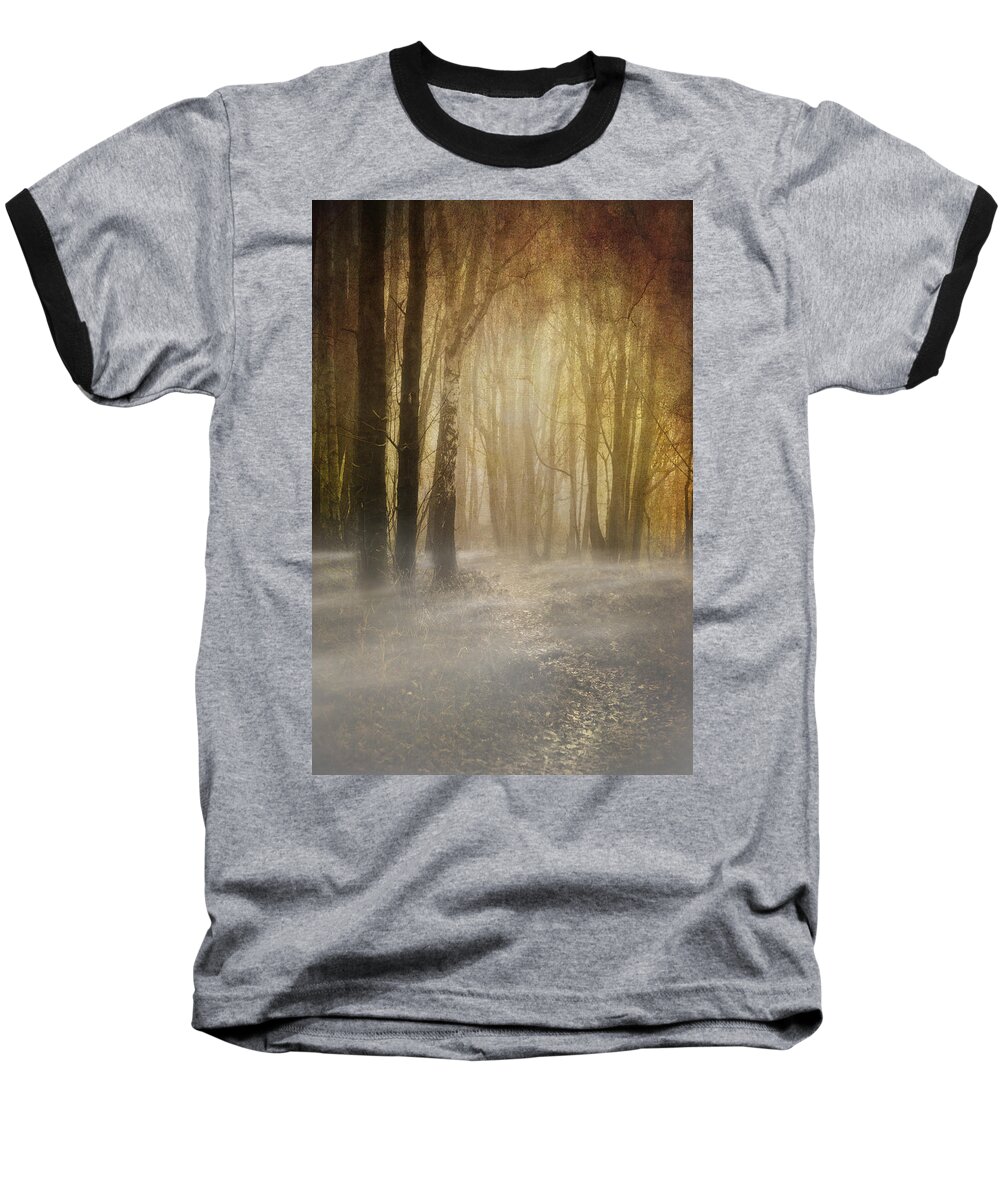 Woodland Baseball T-Shirt featuring the photograph Beware Misty Woodland Path by Meirion Matthias