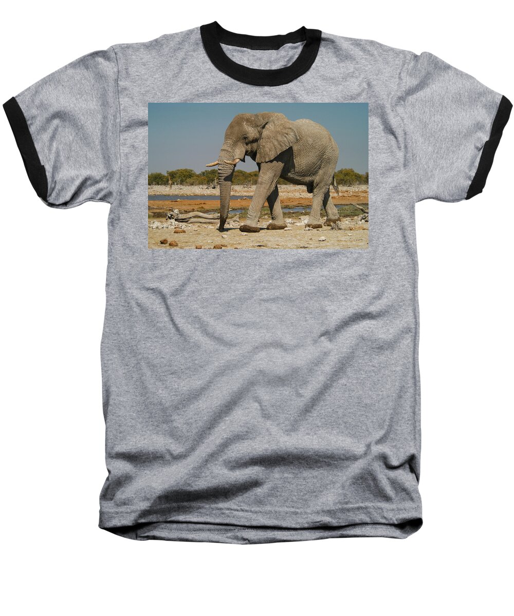 Action Baseball T-Shirt featuring the photograph Big boy by Alistair Lyne