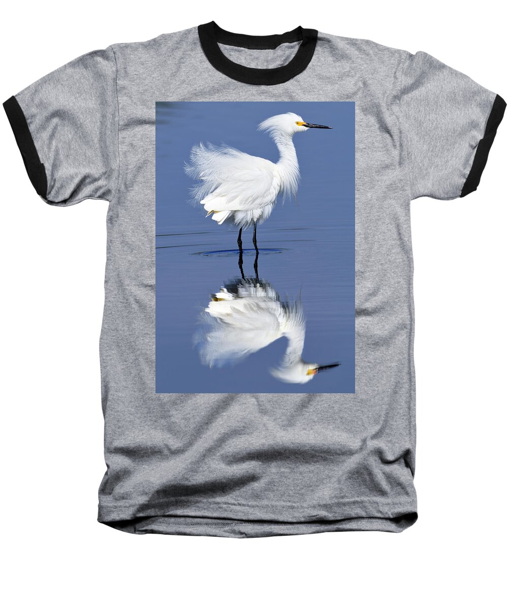 Snowy Baseball T-Shirt featuring the photograph Blowing in the wind by Bill Dodsworth