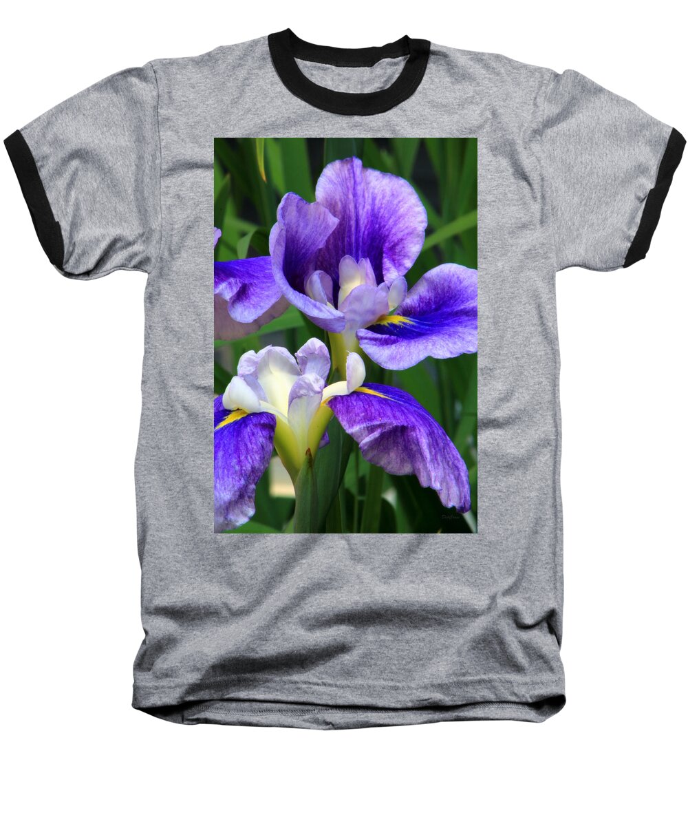 Iris Baseball T-Shirt featuring the photograph Blue Irises by Deborah Crew-Johnson