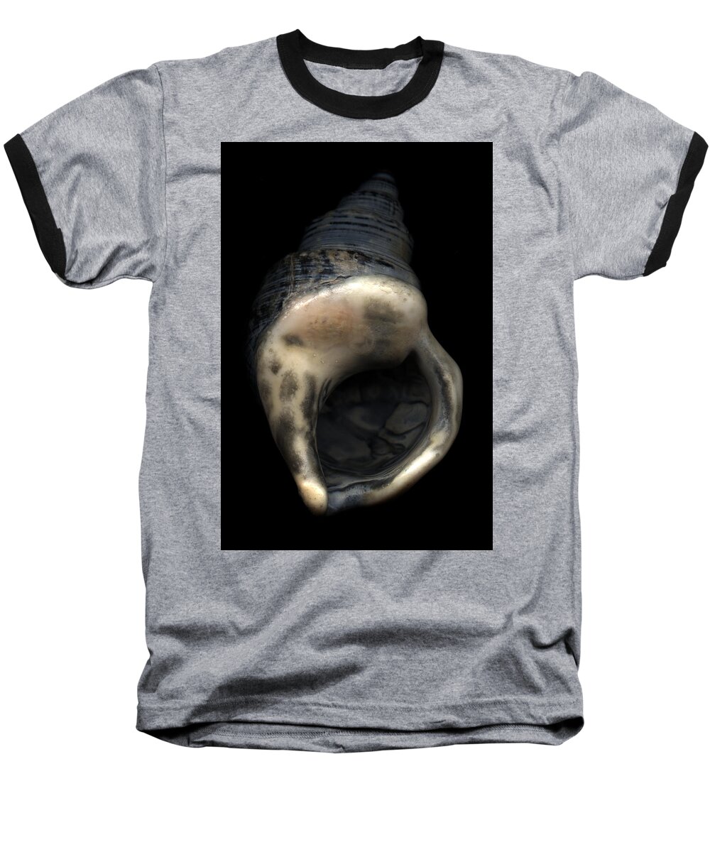 Scan Baseball T-Shirt featuring the photograph Blue Shell by David Kleinsasser